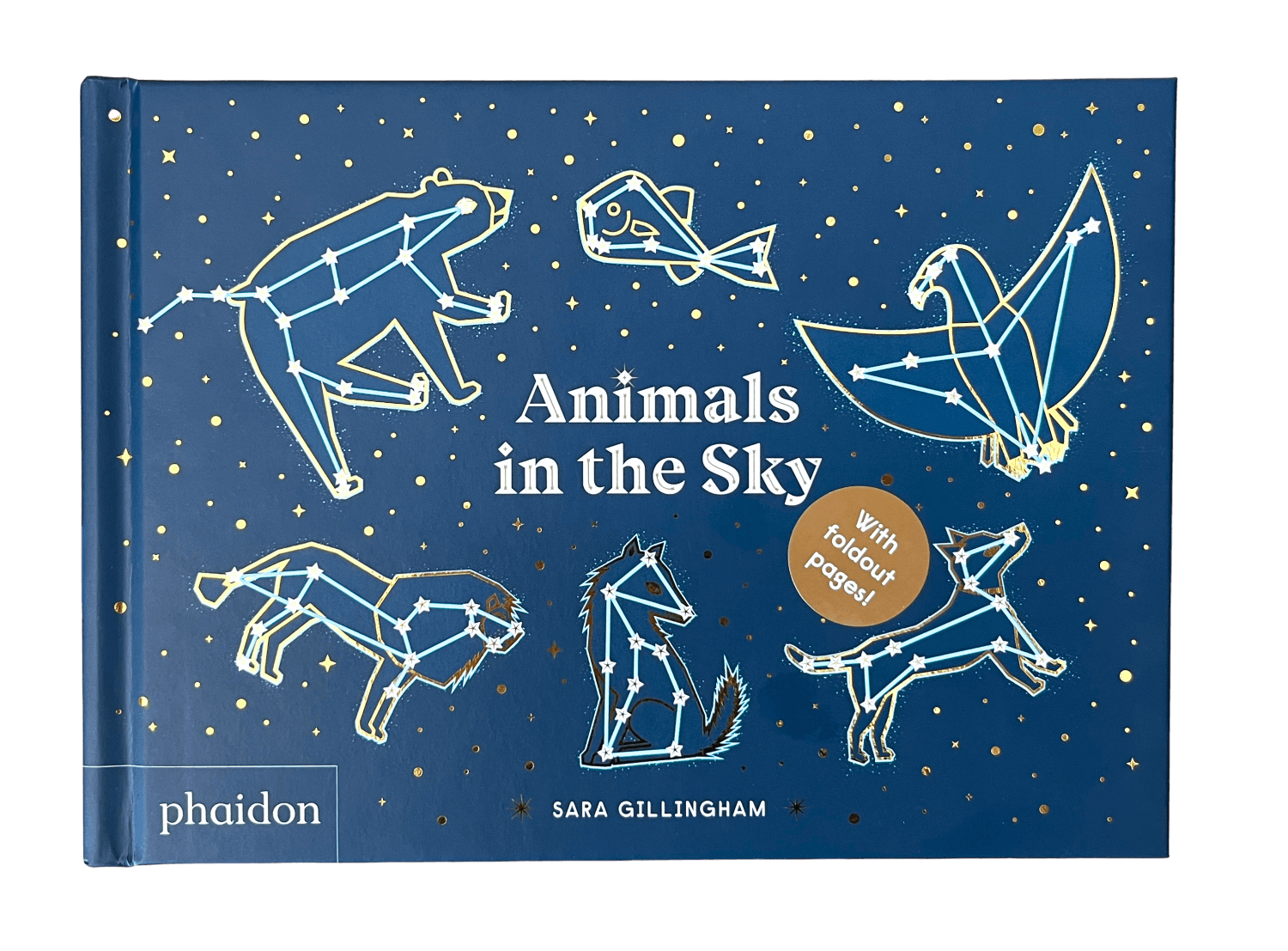 Animals in the sky 1.png
