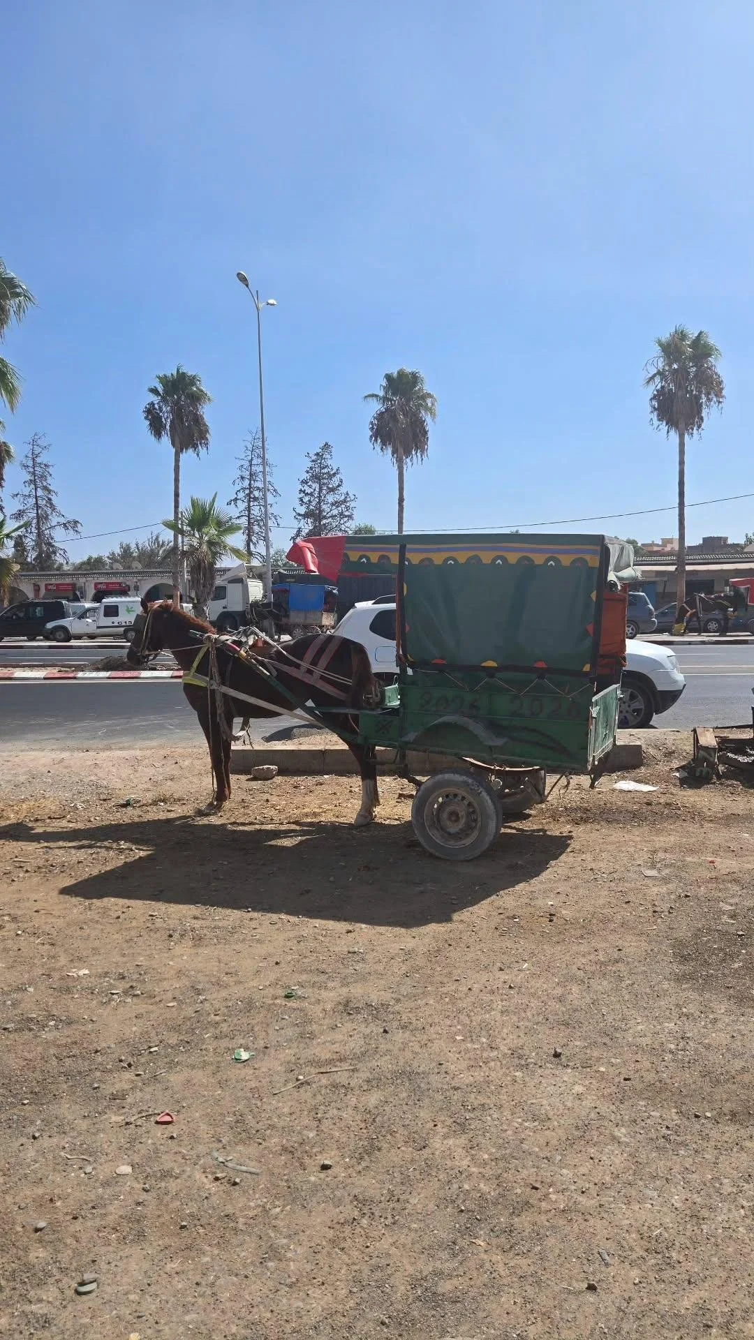 My Moroccan Driver Held Me Hostage - Spain &amp; Morocco Part 8