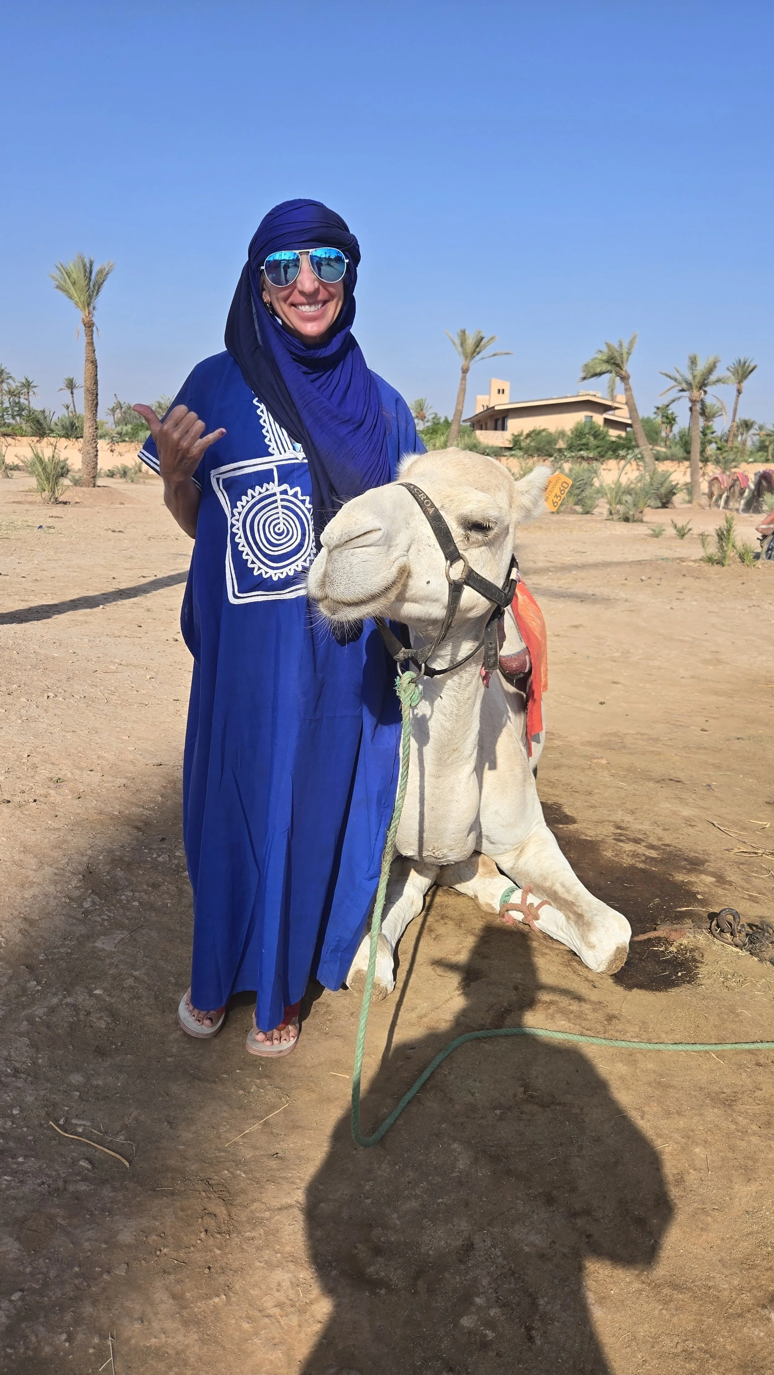 A Camel Ride, Four Cups of Mint Tea, and the Hotel Showdown- Spain &amp; Morocco Part 9