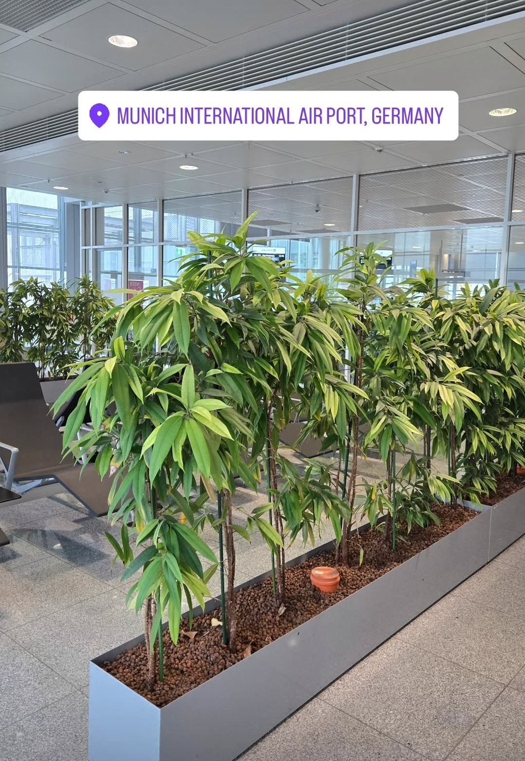 I Almost Lost It at 35,000 Feet: The Flight Home That Finally Broke Me - Spain &amp; Morocco Part 11