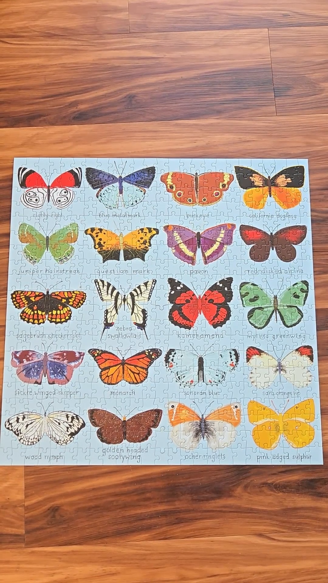 Perfectionism is Finishing the Puzzle and Not Even Enjoying One Piece.