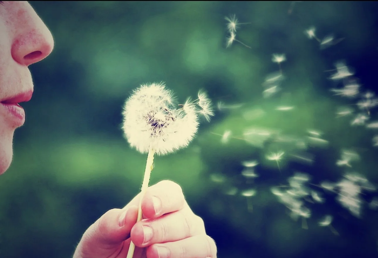 Natural outdoor scene associated with allergy symptoms