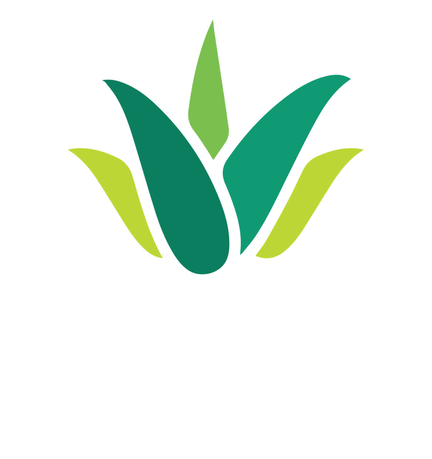 Lee’s Holistic Health