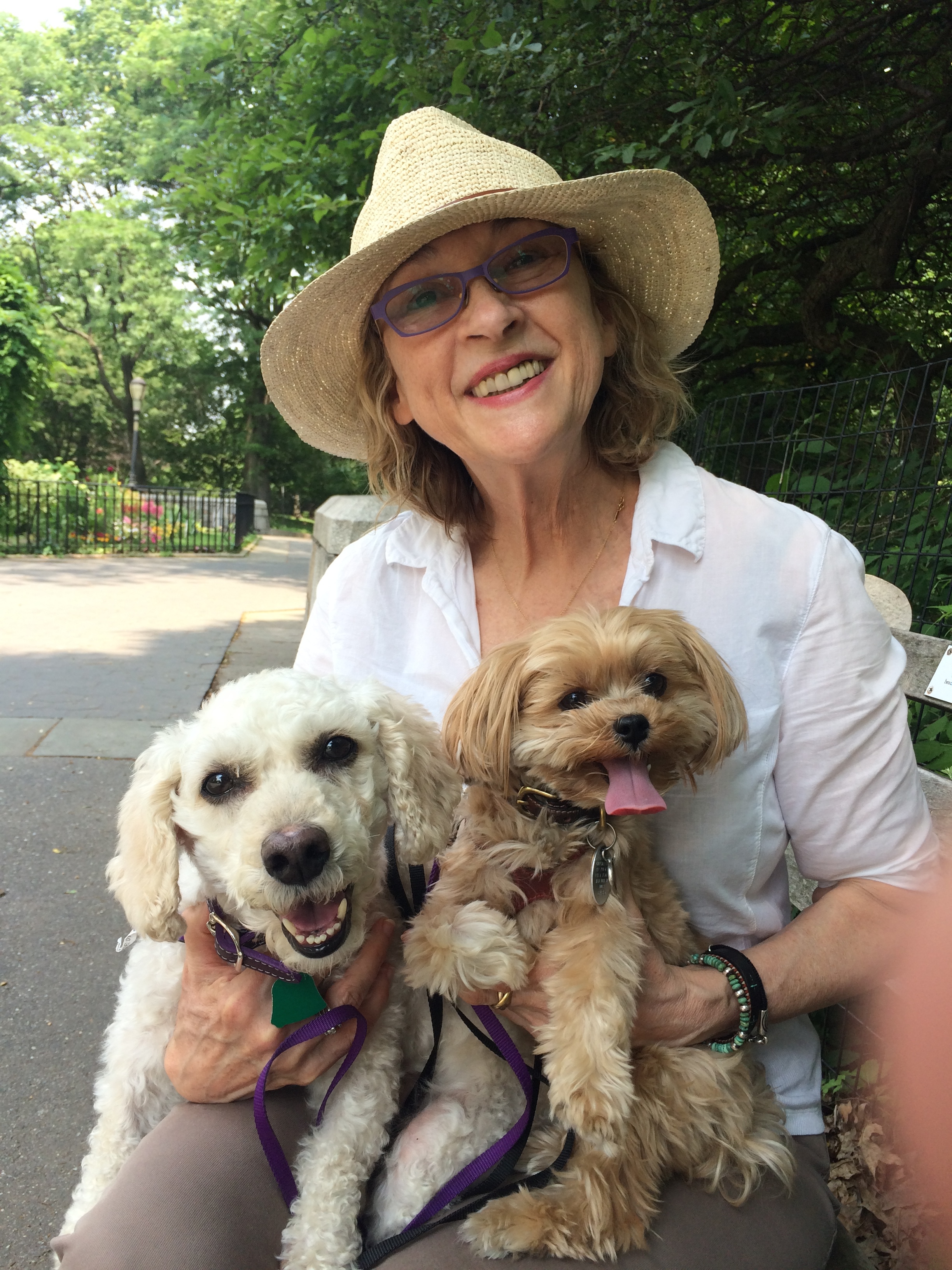 How To Adopt — The Good Life Dog Rescue