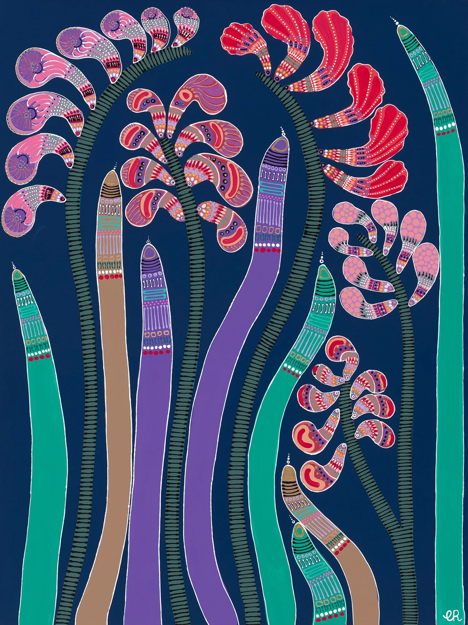 Power of the Kangaroo Paw