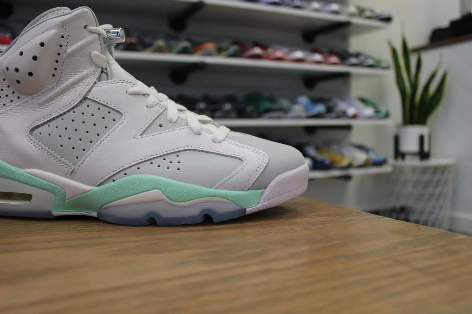 mint jordans 6