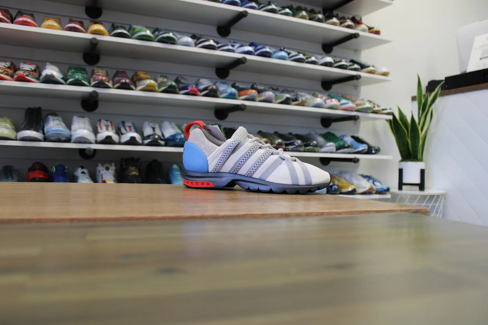 adidas adistar comp