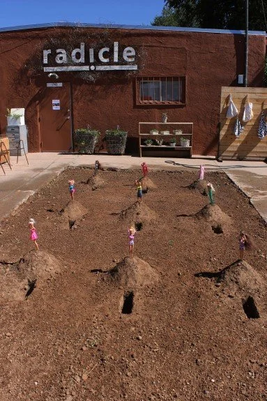 Inviting inquiry, interaction and play in the radicle living canvas.