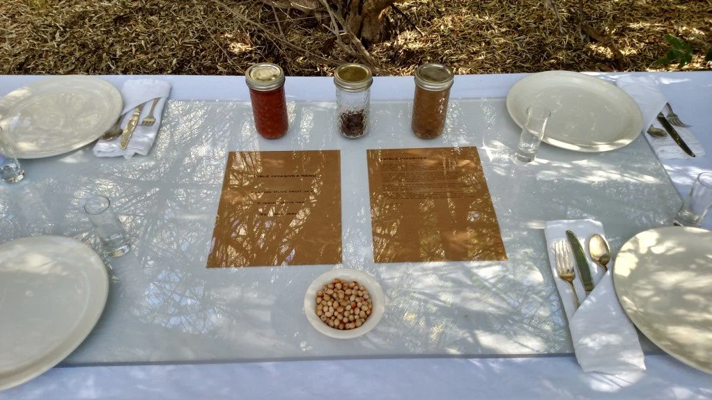 Human form of dining table and place settings in unlikely “natural” setting of wildlife preserve.