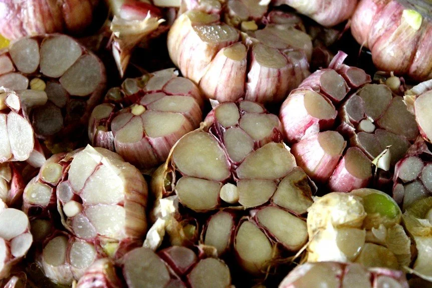 Garlic from Christie’s garden that she roasted and served with local bread that evening.