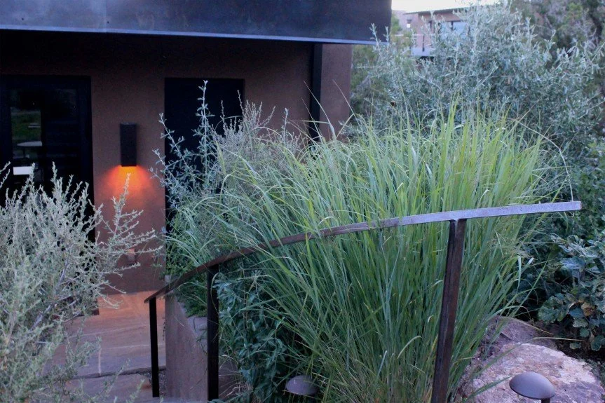 Native grass and shrub species lead to art studios.