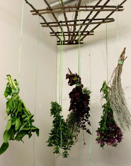 Connie’s herb drying piece, suspending herbs from Christie’s garden.