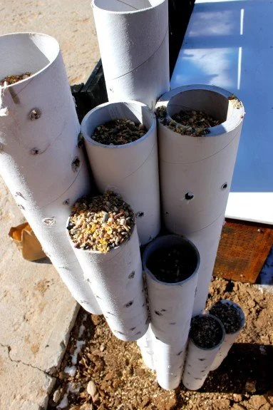 Bird feeder made by Christie Green from repurposed mailing tubes; holes drilled + tubes filled with seed.