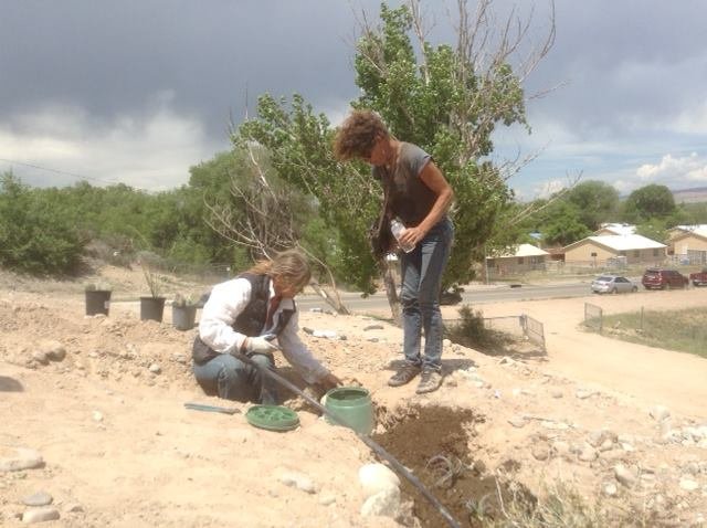 Many hands coming together to plant. Spring 2016.