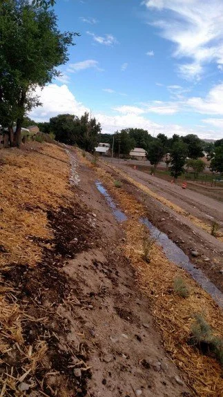 Swales collect and direct water to plant roots while preventing soil erosion.