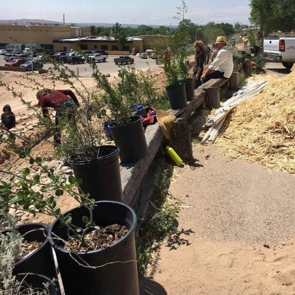 First planting day spring 2016.