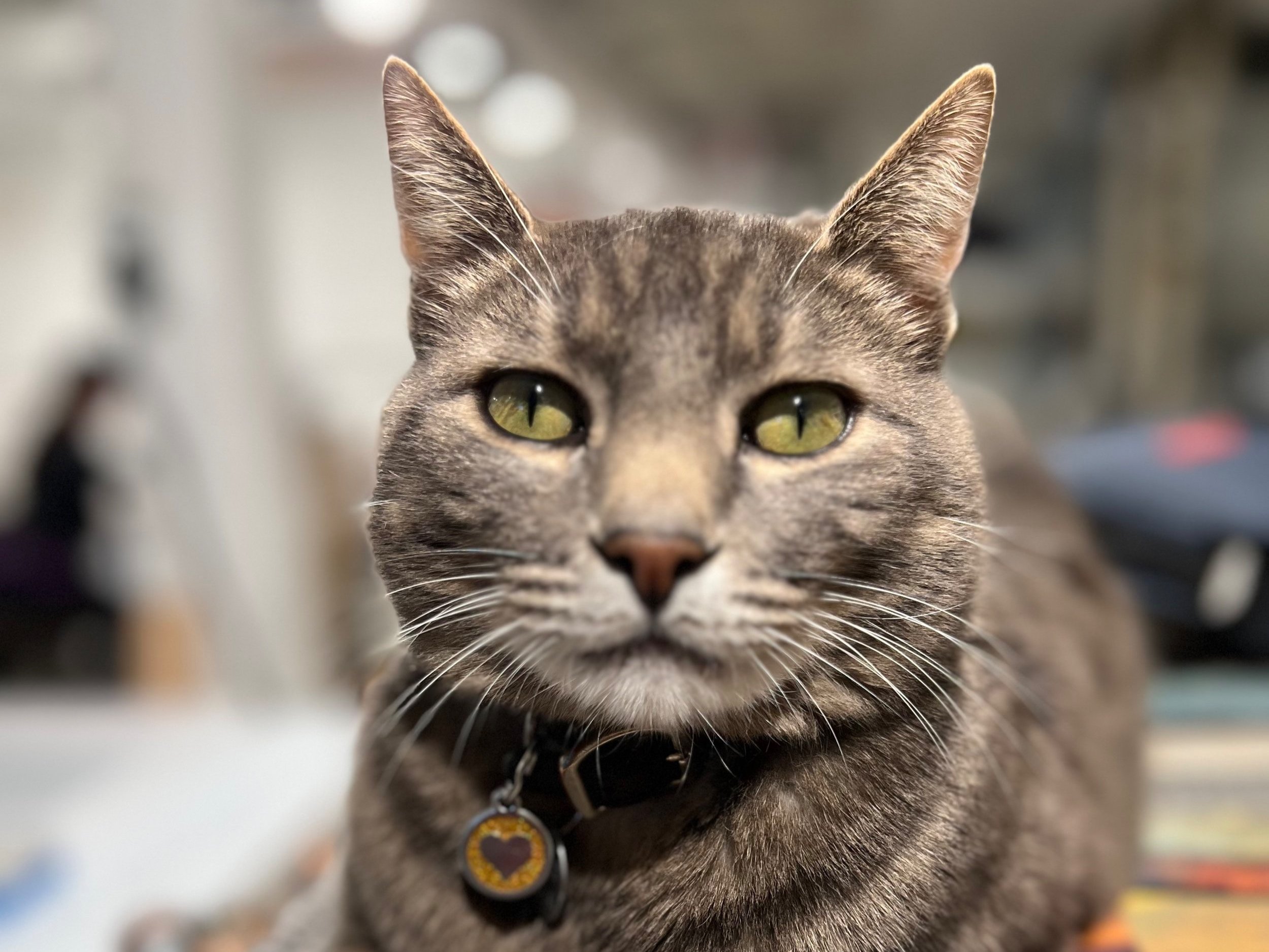 Arriving at Wonder Land