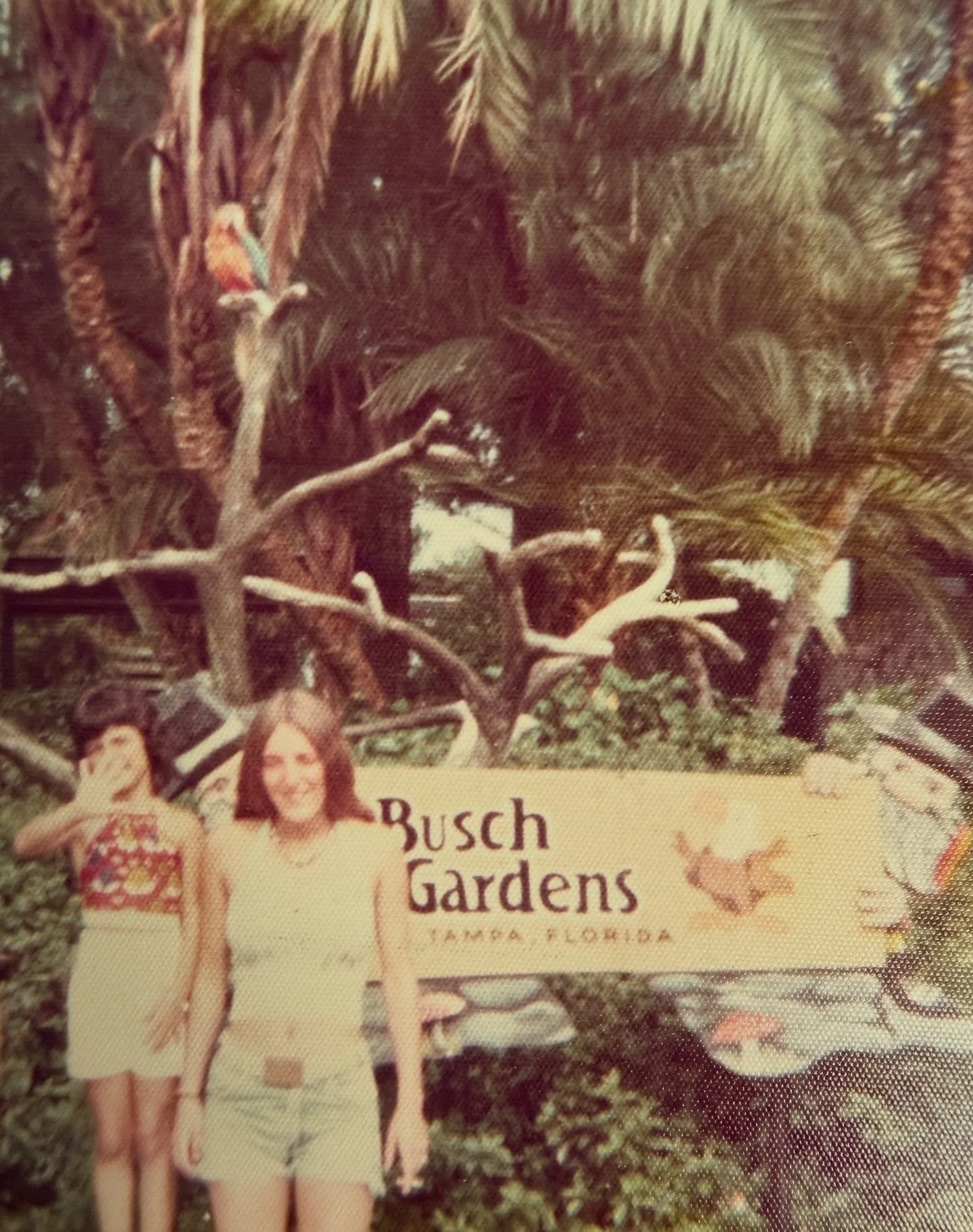 . 
Hello there and if you are new here, welcome to my Instagram page. I am currently taking a break to mourn the dual loss of my mother in July and more recently, my sister. 

They were the women that made me and were anchors of strength, love and pr