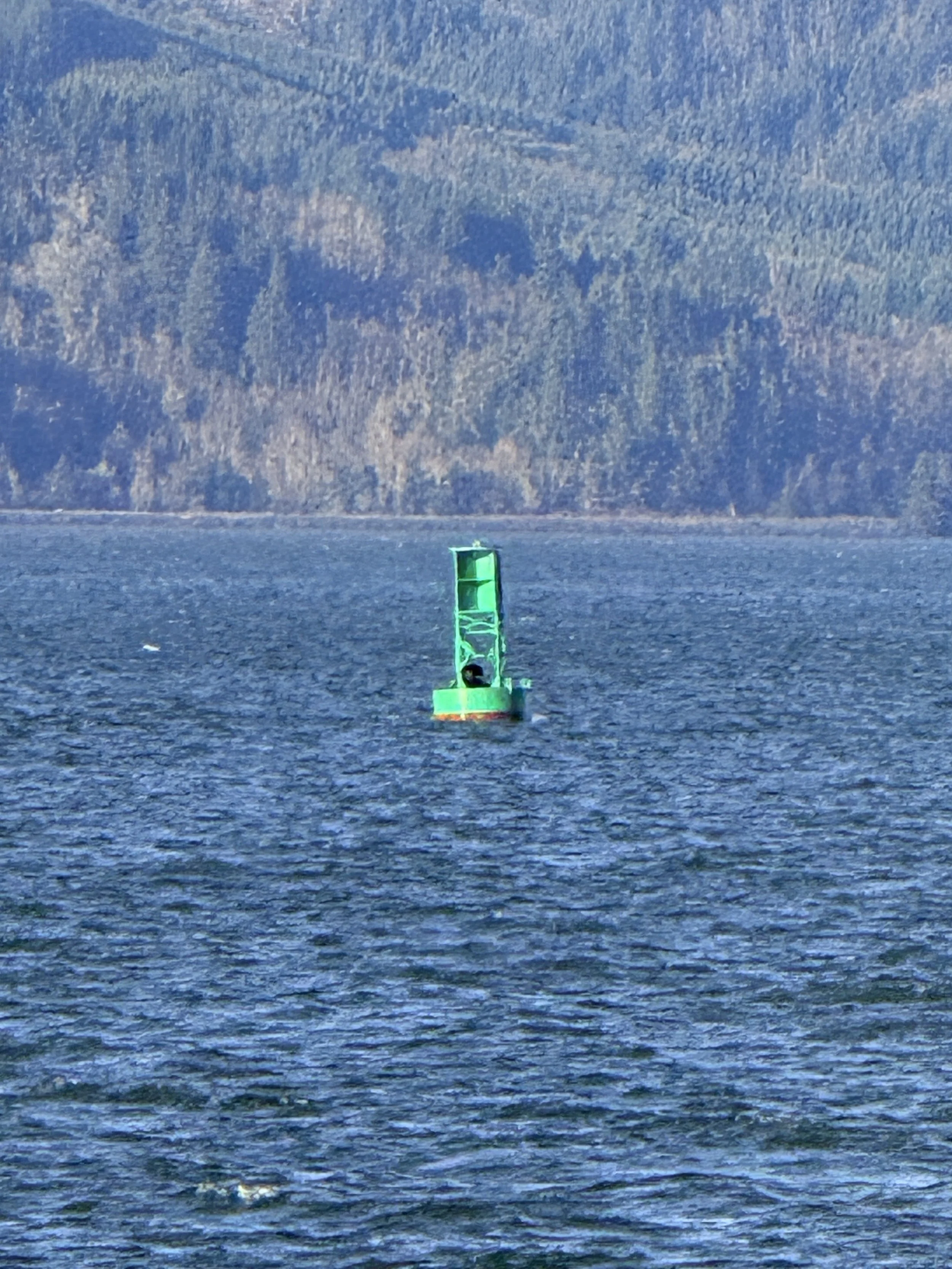 IMG_7126.JPG