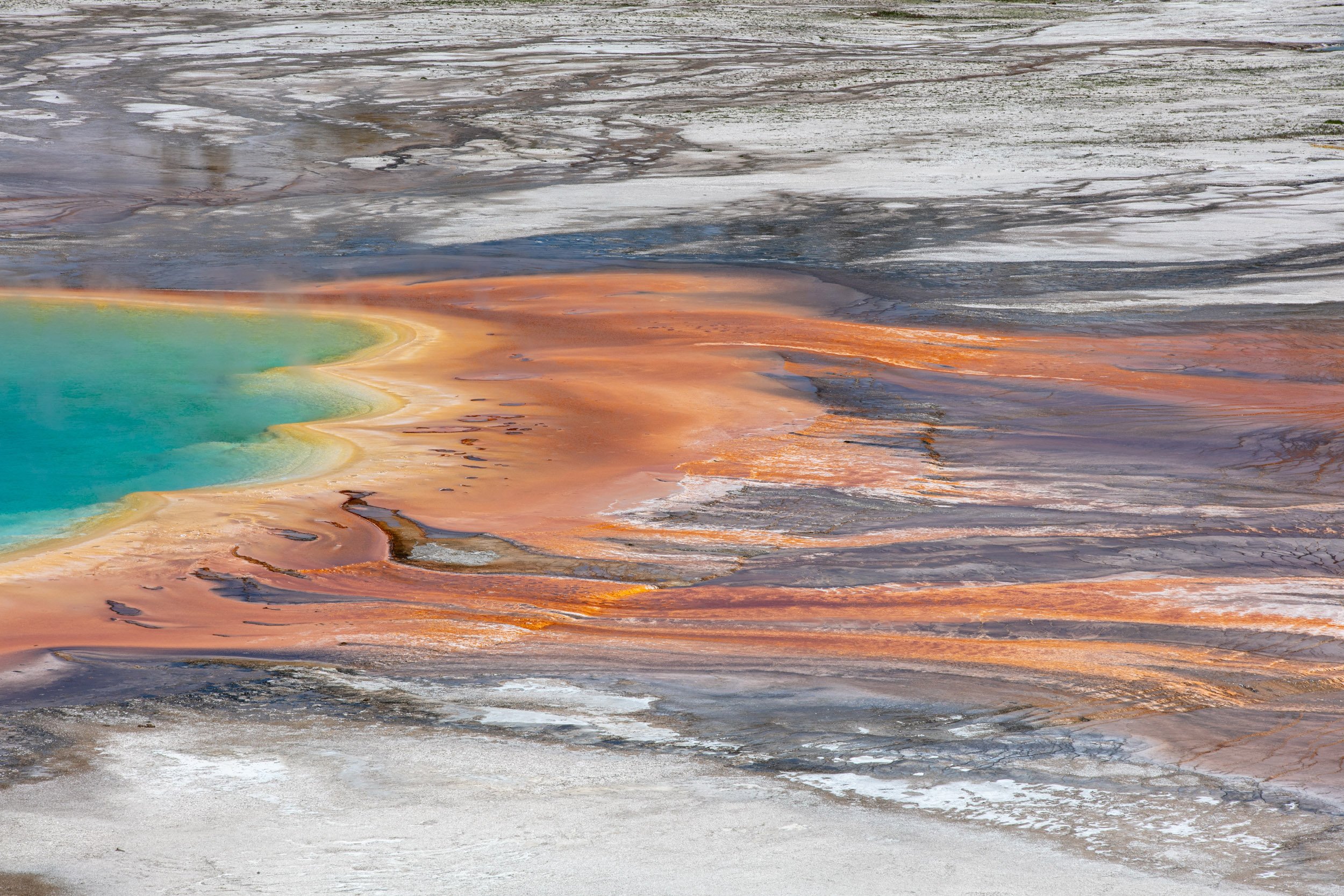 jackson_yellowstone-18.jpg