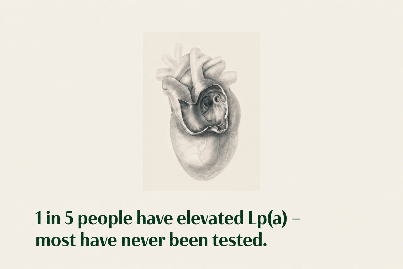 Lp(a) Test: The Overlooked Cardiovascular Risk Factor
