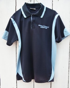 polo+image.jpeg