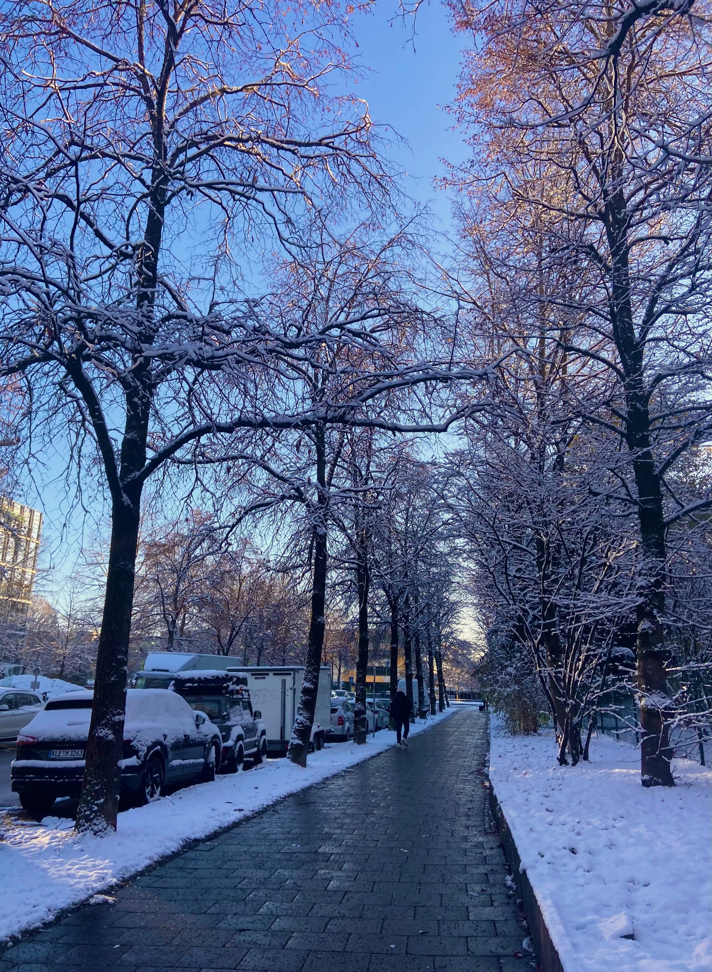 Snow on the way to work.jpeg
