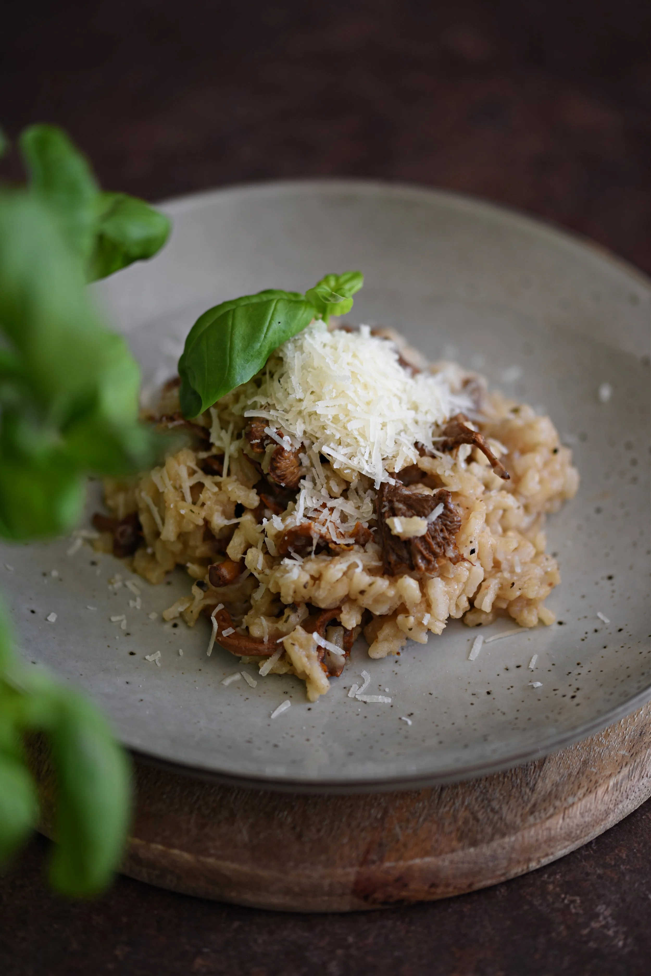 Cylinda - Risotto 3.jpg