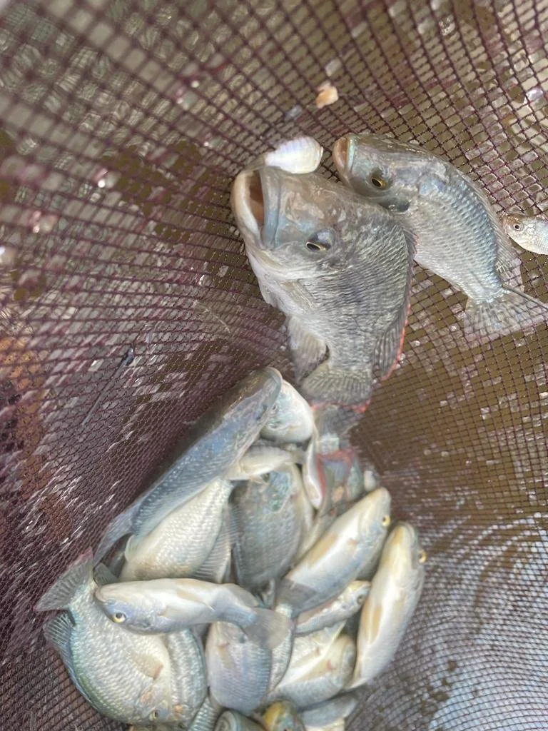 WhatsApp Image 2022-10-03 at 10.09.47 PM.jpeg