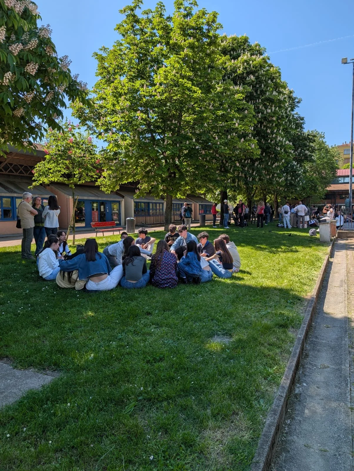 WhatsApp Image 2026-04-26 at 13.07.12.jpeg