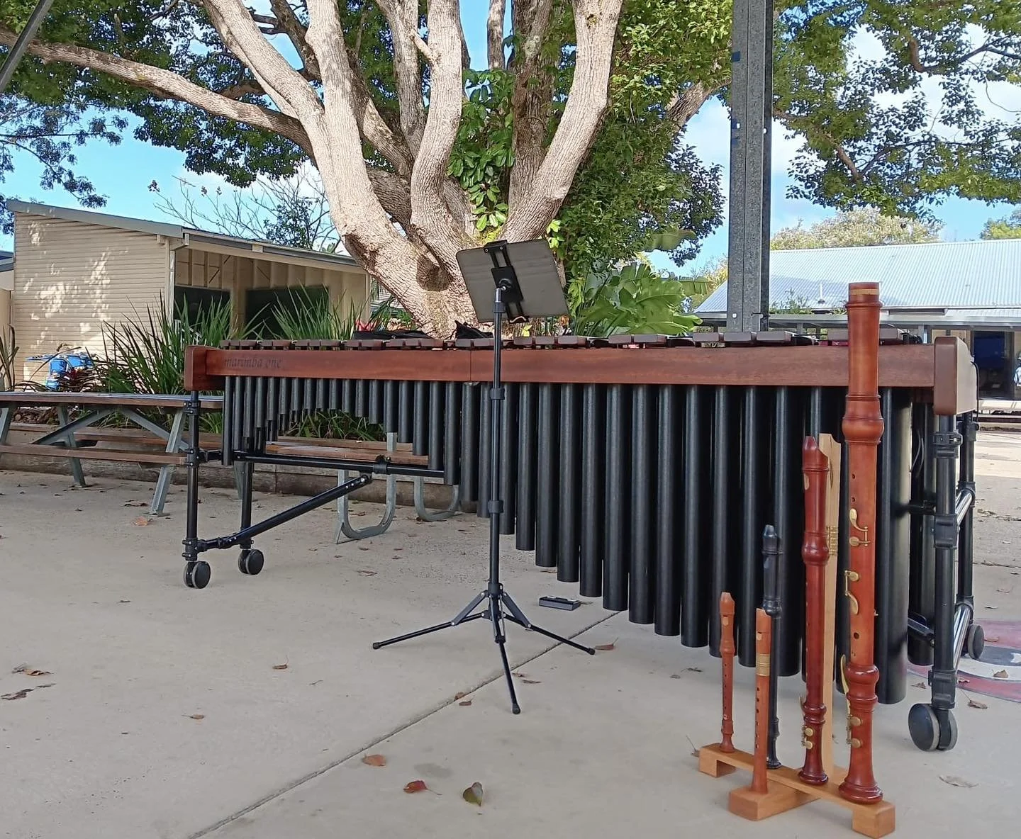 From our Friends is returning soon! 🎶 

Your classical music guide to events in regional NSW returns Monday 30 September. 🥳 There&rsquo;s still time to submit your event, with submissions extended to Friday 27 September for this month. 

Submission