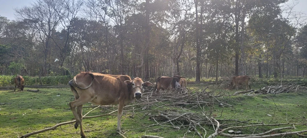 WhatsApp Image 2025-03-21 at 16.19.27.jpeg