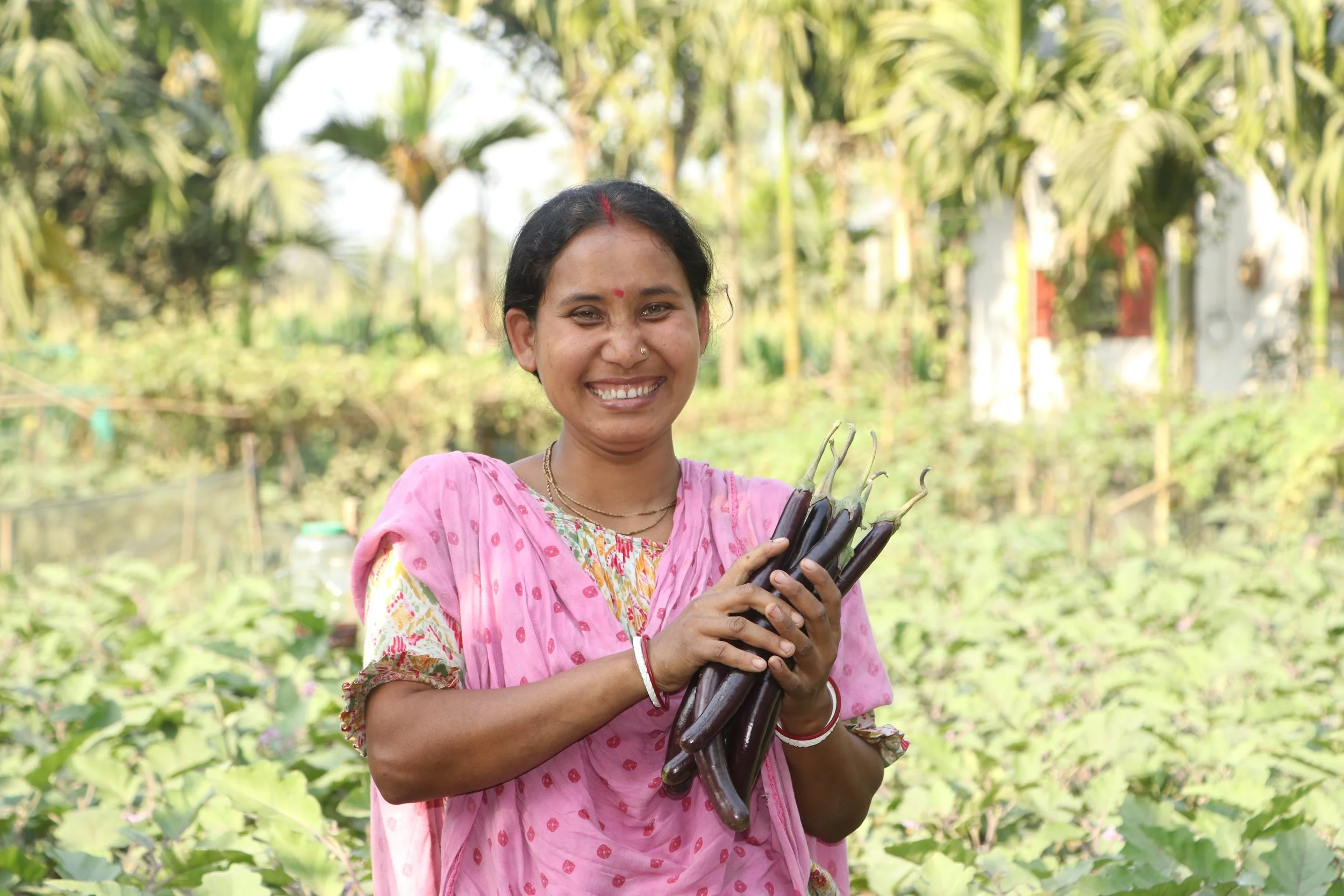 Integrated Extension and Advisory Services for Agricultural Diversification: Lessons from the ‘Rupantar’ Project in the Eastern Gangetic Plains