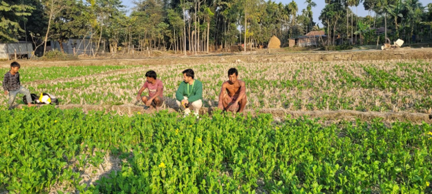 Beyond the Seed: Scaling Agricultural Innovation Systems in the Eastern Gangetic Plains