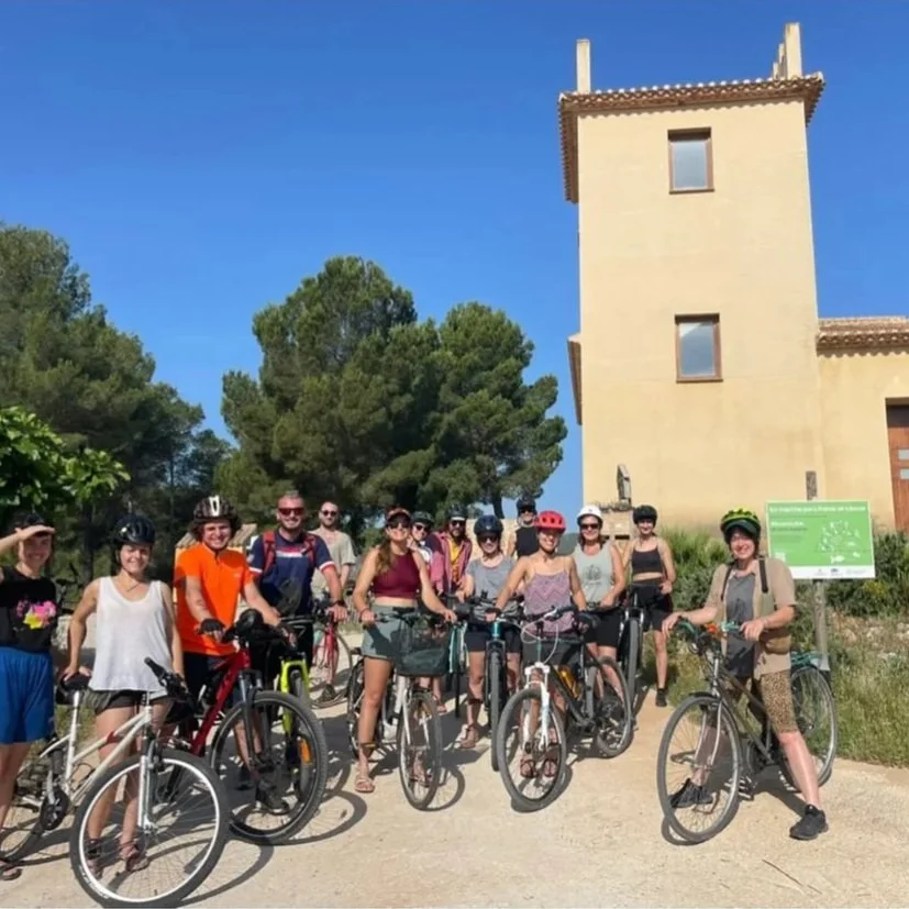 La Vall d'Albaida sud 2025