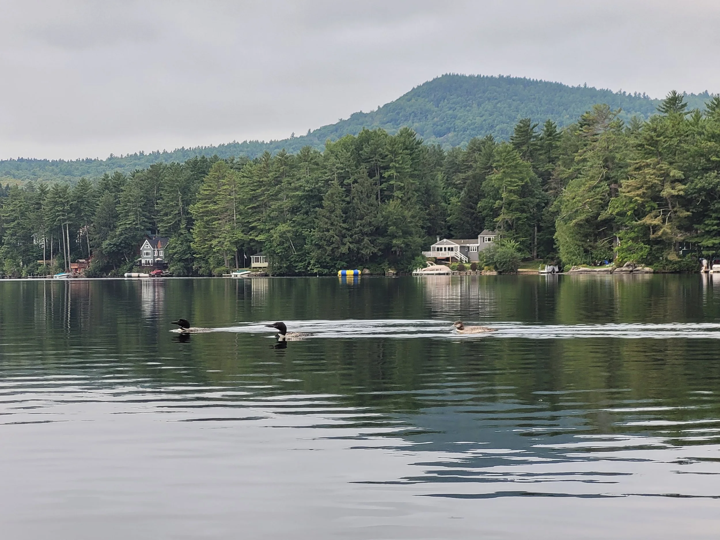 A note of thanks from Chris Borek and Black Lagoon