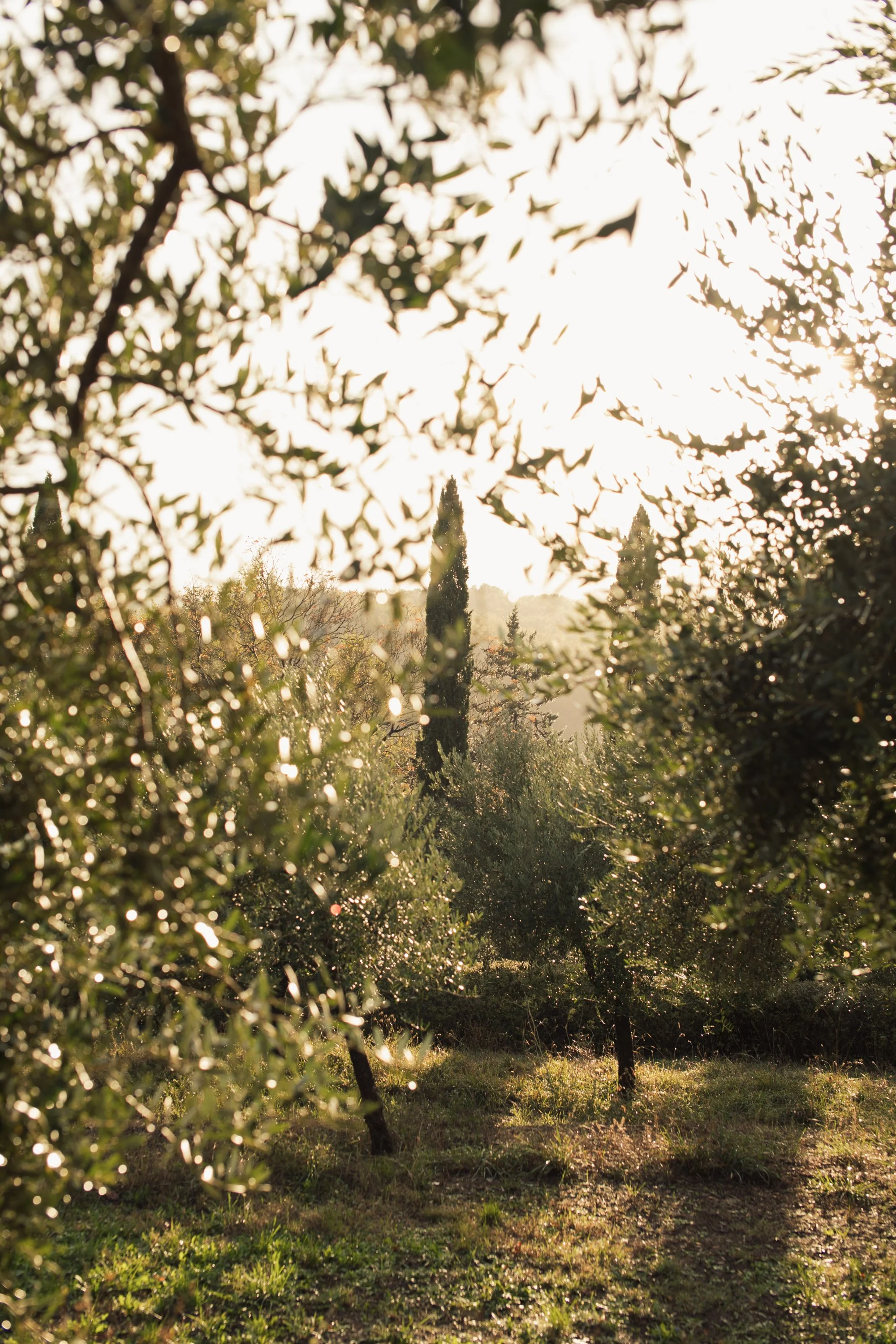 le-porciglia-tuscany-katie-mcknoulty-0121.jpg