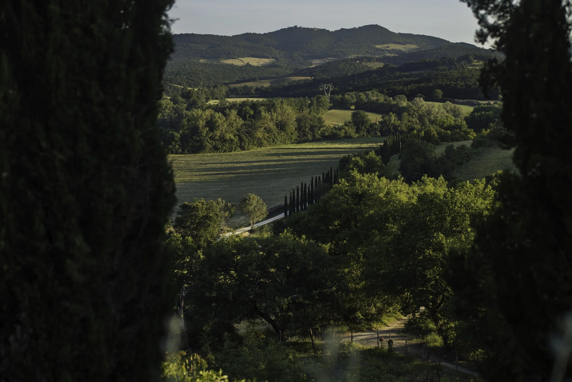 katie-mcknoulty-le-porciglia-0J5A0835.jpg