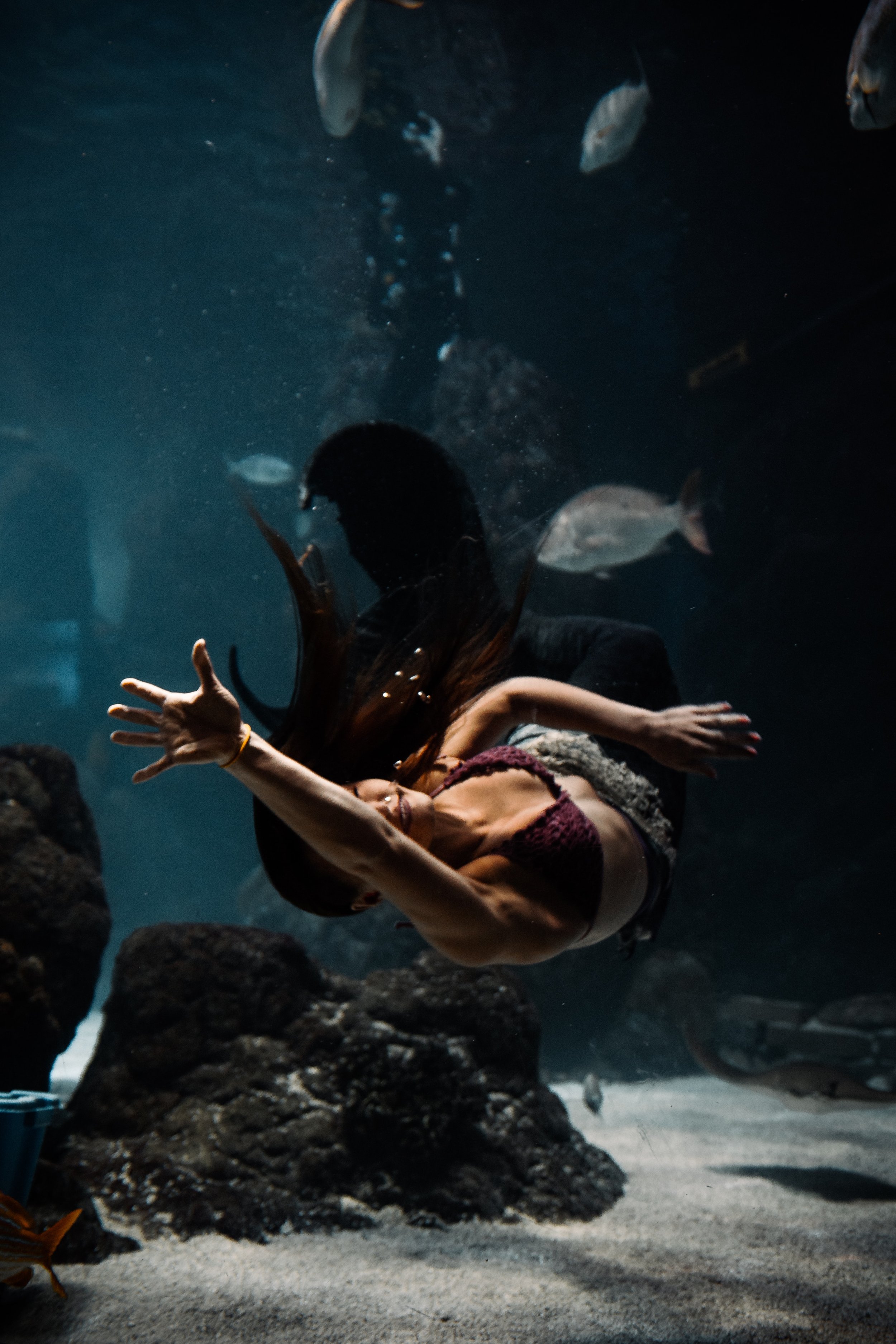 How the Water Fairies Help Us Tap into the Flow of Our Emotions