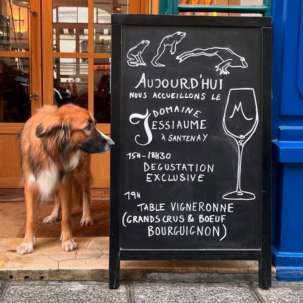 Jaja et @domainejessiaume vous attendent pour chasser le mauvais temps au 15 rue des Petits Champs !
🍷Degustation de 15h &agrave; 18h30 
🍽️ Diner Vigneron &agrave; 19h

#vinsdebourgogne #caveavins #restaurantparis1 #grandscrus #boeufbourguignon #fo