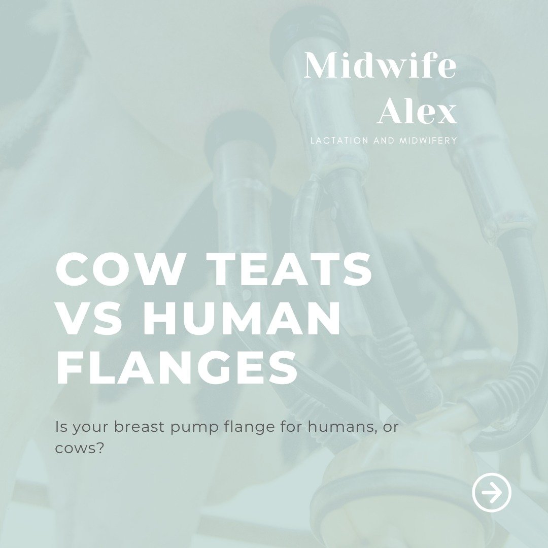 📷 Graphics by Midwife Alex 
Words by Midwife Alex &amp; Mitty Dairy

What&rsquo;s common between the cow pump and human breast pump 🐄🍼

Did you know? There's a shocking connection between a dairy cow's pump and a human pump. For over 200 years, wo