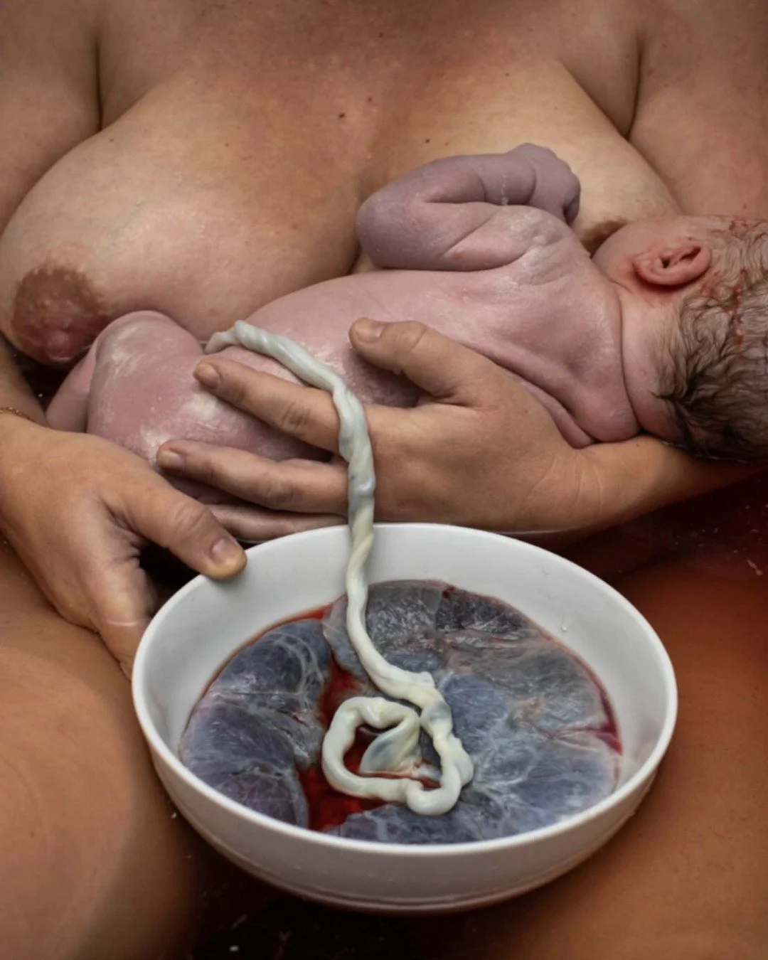 From womb to world, from body to soul 🌿 The placenta held, the baby fed, the bond unbroken. Every moment is a reminder of the extraordinary journey of life, and the sacred connection between mother and child. 🤍 

📸 @katekennedybirthphotography 

#