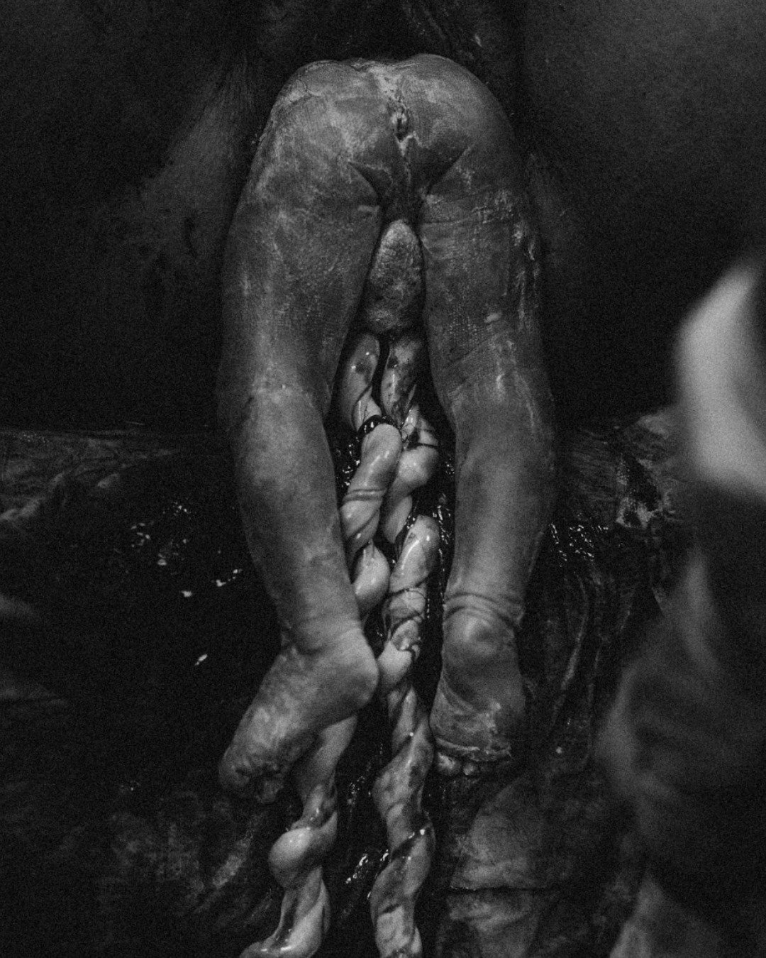 Baby has just arrived earthside, cord still attached, still being loved and supported by the body that grew them. That cord doesn't stop working straight away - it keeps on pulsing, transferring blood, oxygen and vital nutrients while baby takes thos