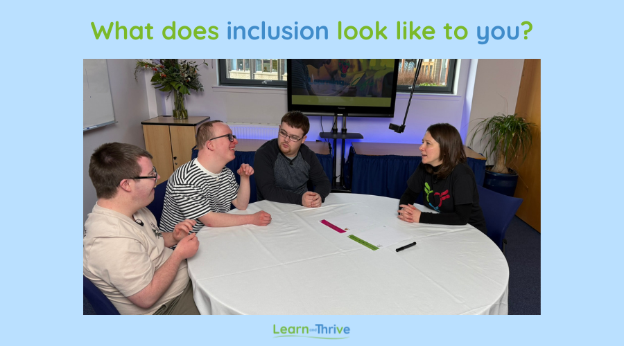 Inclusion bases: a bridge, or just a better-looking car park?