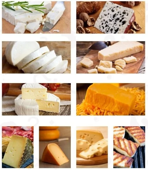 Come On - Cheese Extravaganza