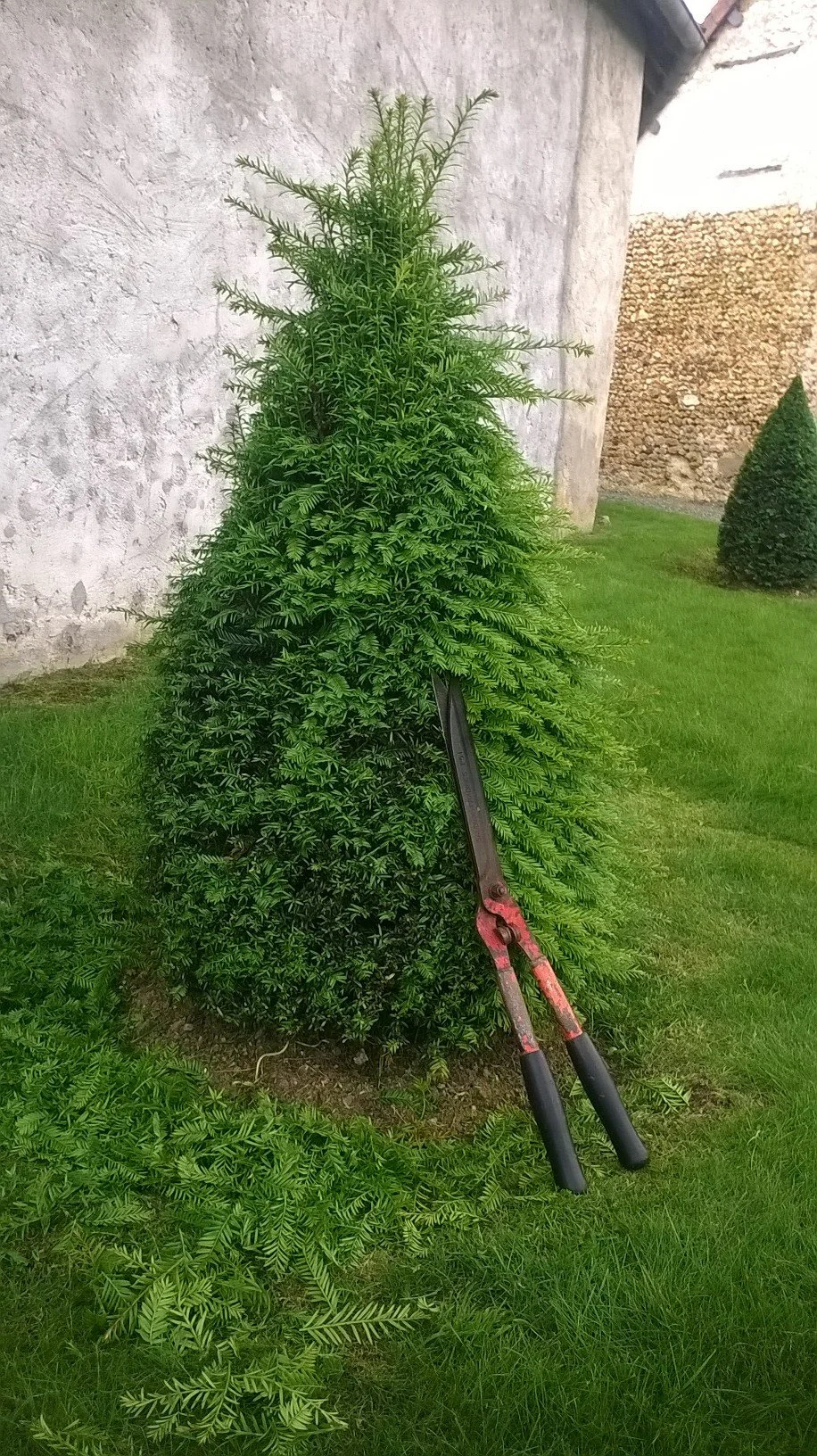 WP_20160625_11_03_38_Pro.jpg