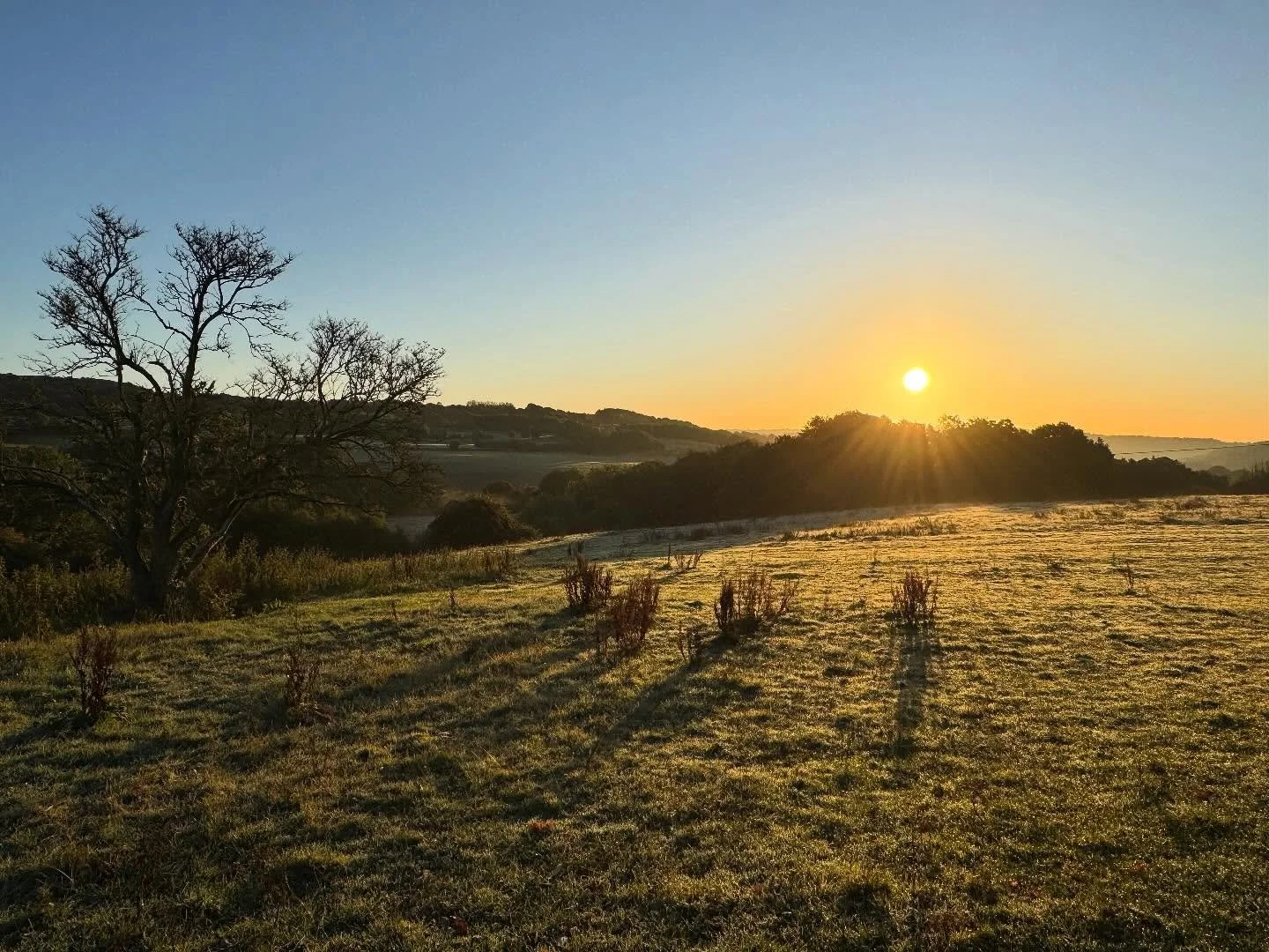Autumn is here 🌿🍂🍃

Enjoy a relaxed weekend here at Moorside!

Check availability at www.stayatmoorside.farm