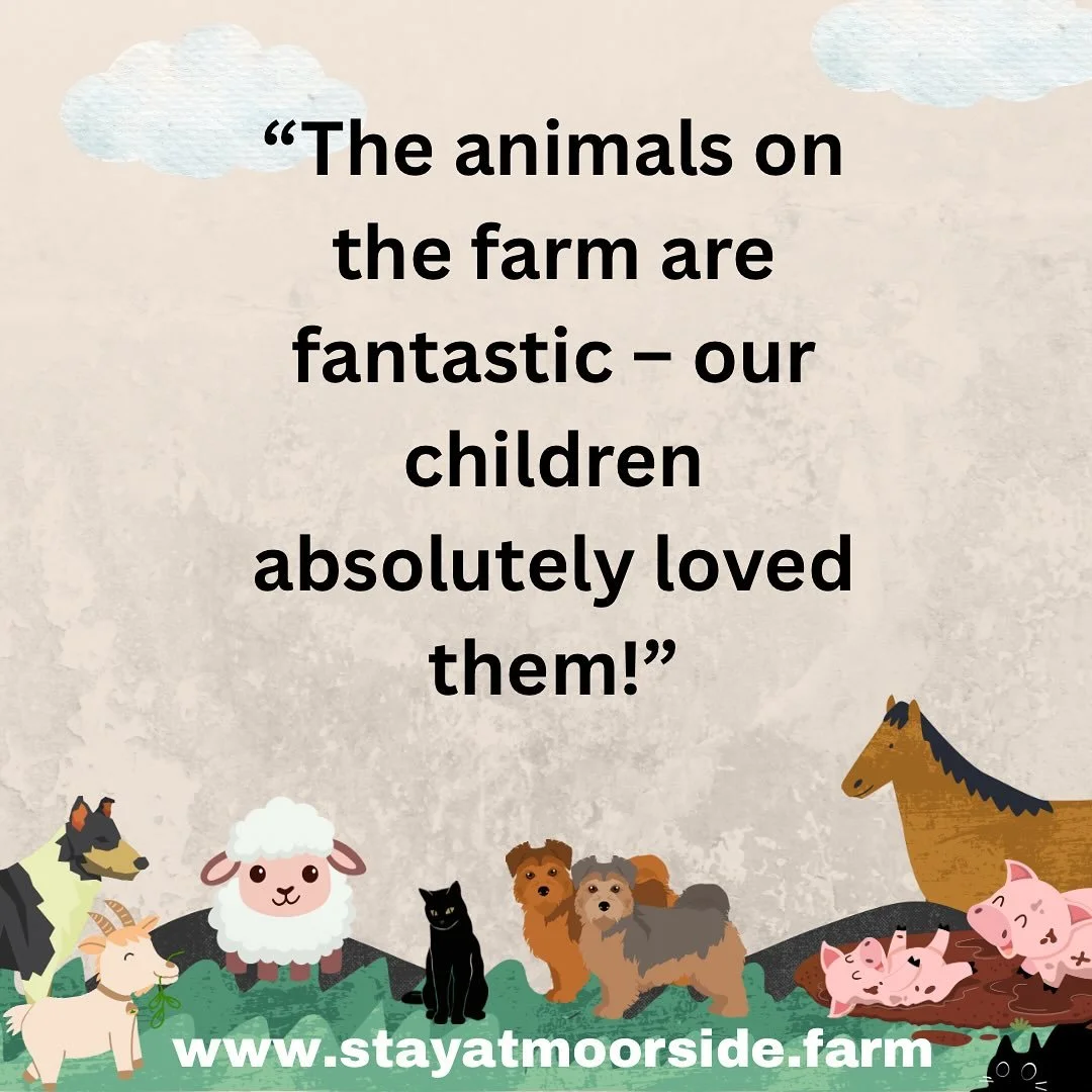 We&rsquo;re so grateful for this wonderful 5-star review from Ivana and her family:

&ldquo;We had a wonderful stay at Dan and Sally&rsquo;s home! The house is cozy, peaceful, and very comfortable, with a beautiful view of green meadows and lovely su