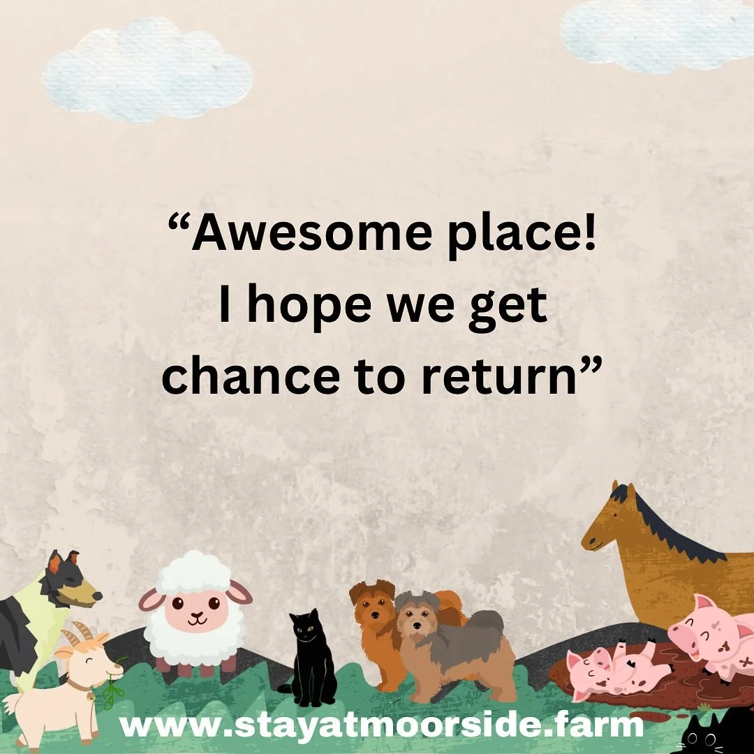 Hearing how much families enjoy the peace, the views, and of course the animals means the world to us 🐷🐐🐴🐑

📅 Plenty of availability for 2025 &ndash; book your countryside escape today!
🌐 www.stayatmoorside.farm

#StayAtMoorsideFarm #5StarRevie
