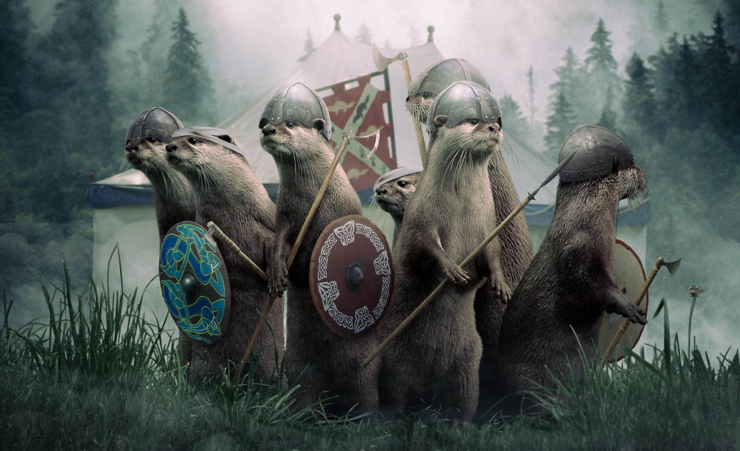 VikingOtter.jpg